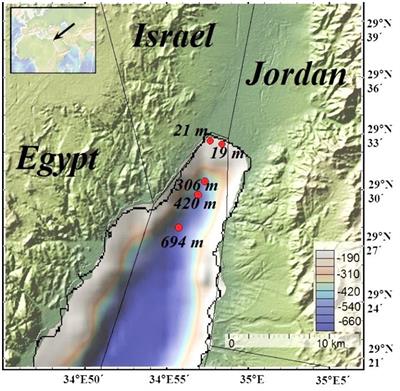 Impact of Aeolian Dry Deposition of Reactive Iron Minerals on Sulfur Cycling in Sediments of the Gulf of Aqaba